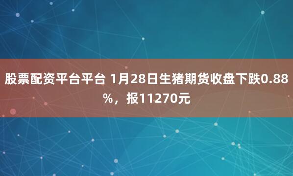 股票配资平台平台 1月28日生猪期货收盘下跌0.88%，报11270元