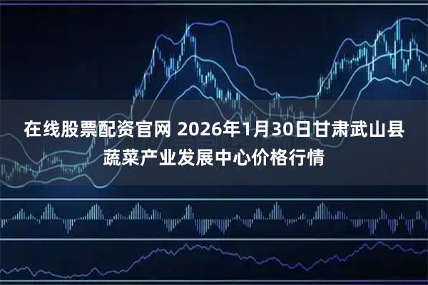 在线股票配资官网 2026年1月30日甘肃武山县蔬菜产业发展中心价格行情