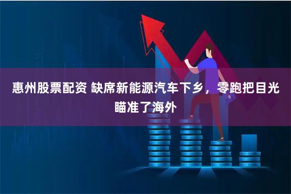 惠州股票配资 缺席新能源汽车下乡，零跑把目光瞄准了海外